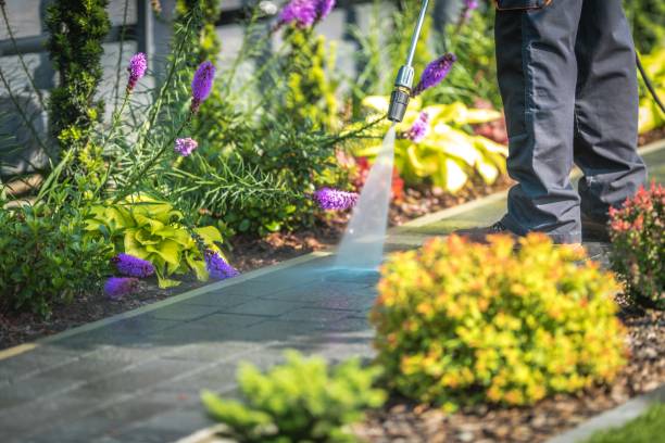 Reliable Lemont, PA  Pressure Washing Services Solutions